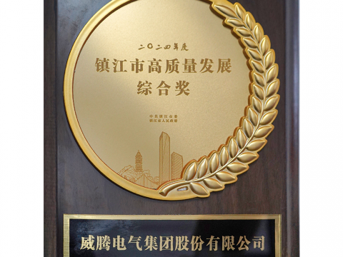 喜讯│银娱优越会荣获2024年度镇江市高质量生长综合奖